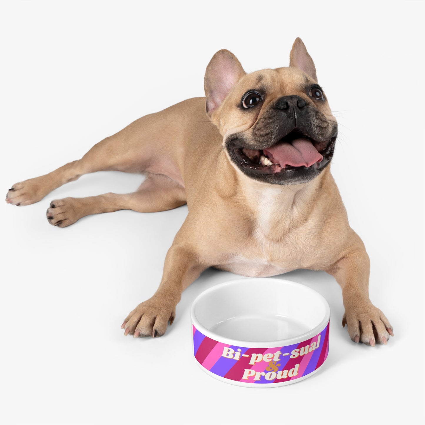 Bi-Pet-Sual and Proud  Humorous and Pun filled Dog Bowl